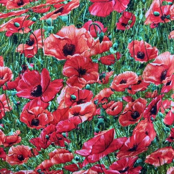 Bernie Dexter Swan Dress Size XS Poppy Floral Print A Line Rockabilly Pockets - Picture 6 of 11